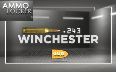 The Ammo Locker: All About the 243 Winchester