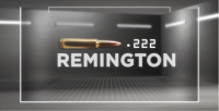 GunBroker.com Ammo Locker .222 Remington