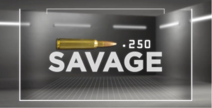 AmmoLocker .250 Savage
