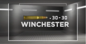 AmmoLocker .30-.30 Winchester