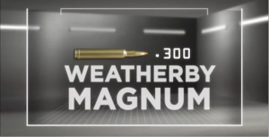 Ammo Locker: .300 Weatherby Magnum [Video]