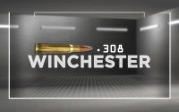 Ammo-Locker--All-about-the-.308-Winchester