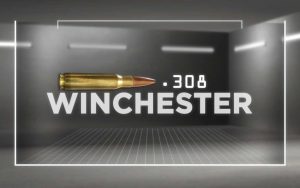 Ammo Locker: All about the .308 Winchester