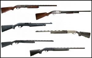 6 Best Shotguns for Hunting