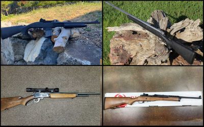 Need a Deer Rifle for Upcoming Hunting Season?