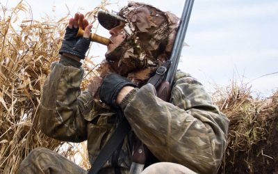 The Best Shotguns for Waterfowl Hunting