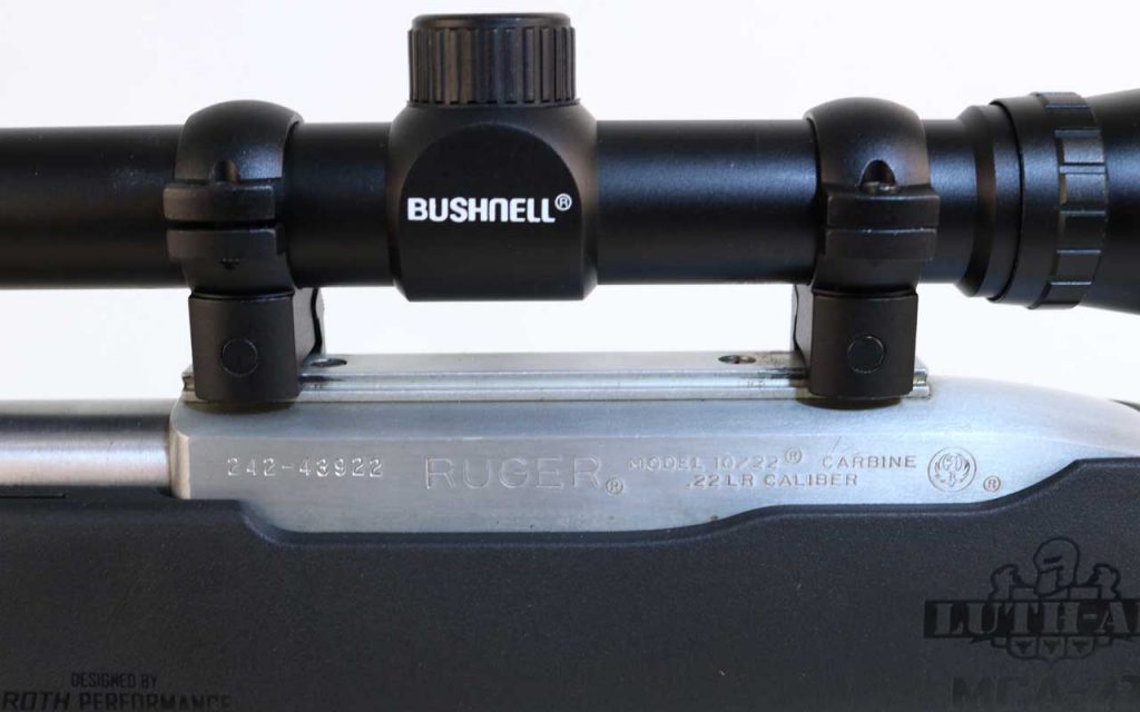Ruger 1022 Bushnell scope