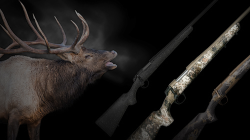 Find Your Big Game Hunting Rifle, Ammo & More - GunBroker.com