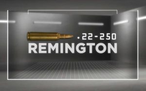 Ammo Locker .22-250 Remington [Video]