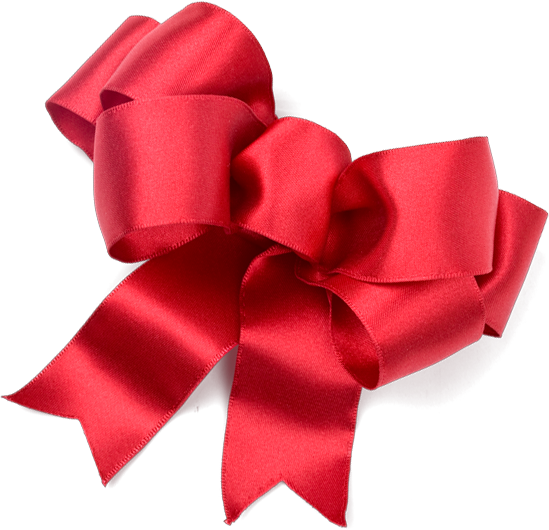 red holiday bow