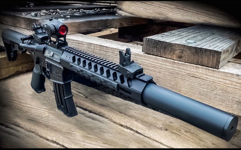 HM-Defense StealthMS5 Suppressed AR15 GunBroker