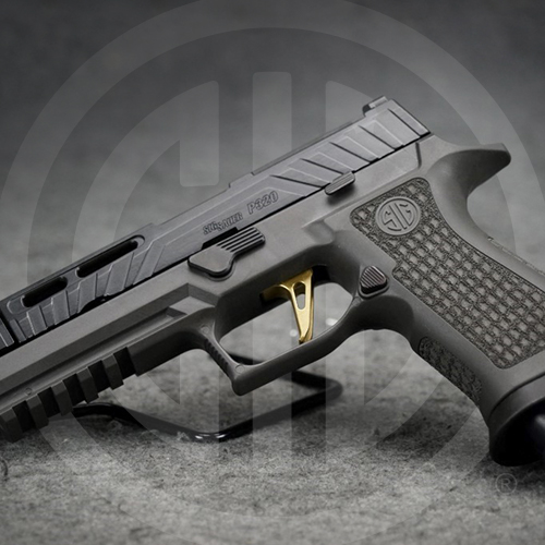 Sig Sauer In Stock - GunBroker.com