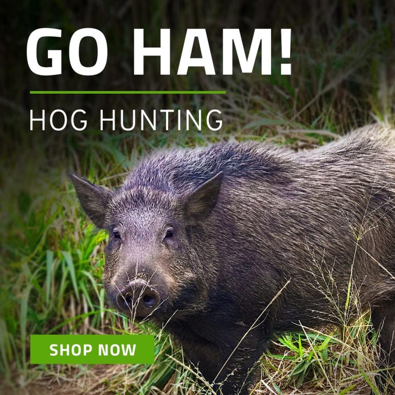 Hog Hunting - Shop Now