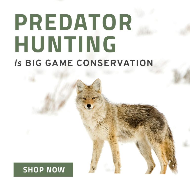 Predator Hunting - Shop Now