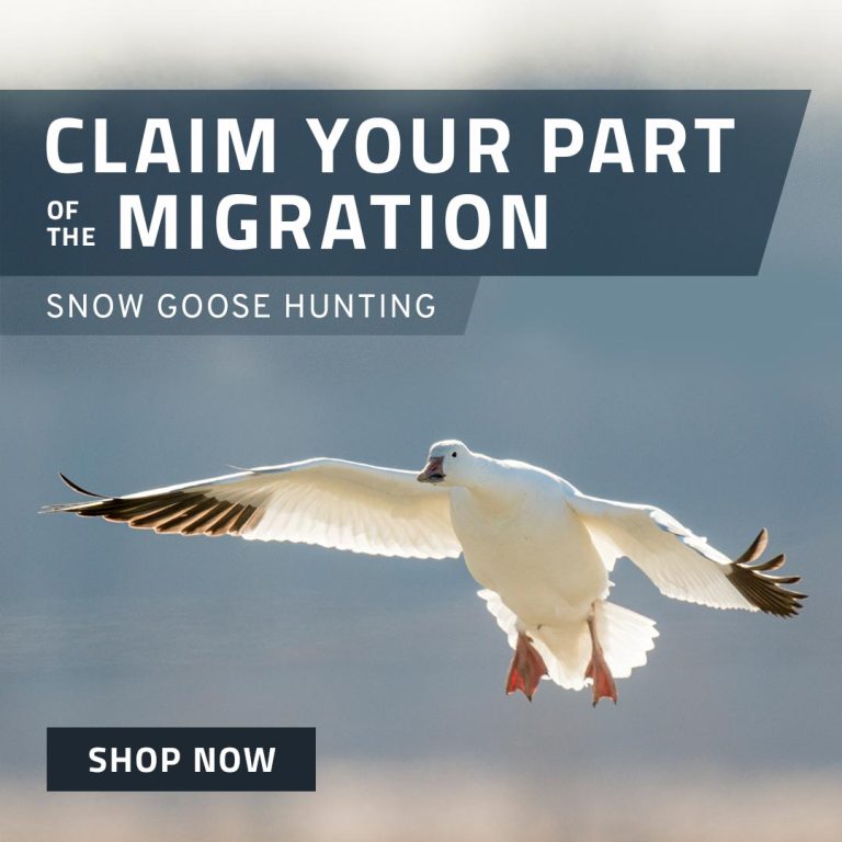 Snow Goose Hunting - Shop Now