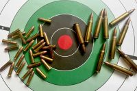Rimfire vs. Centerfire Ammunition : which is right for you? GunBroker.com