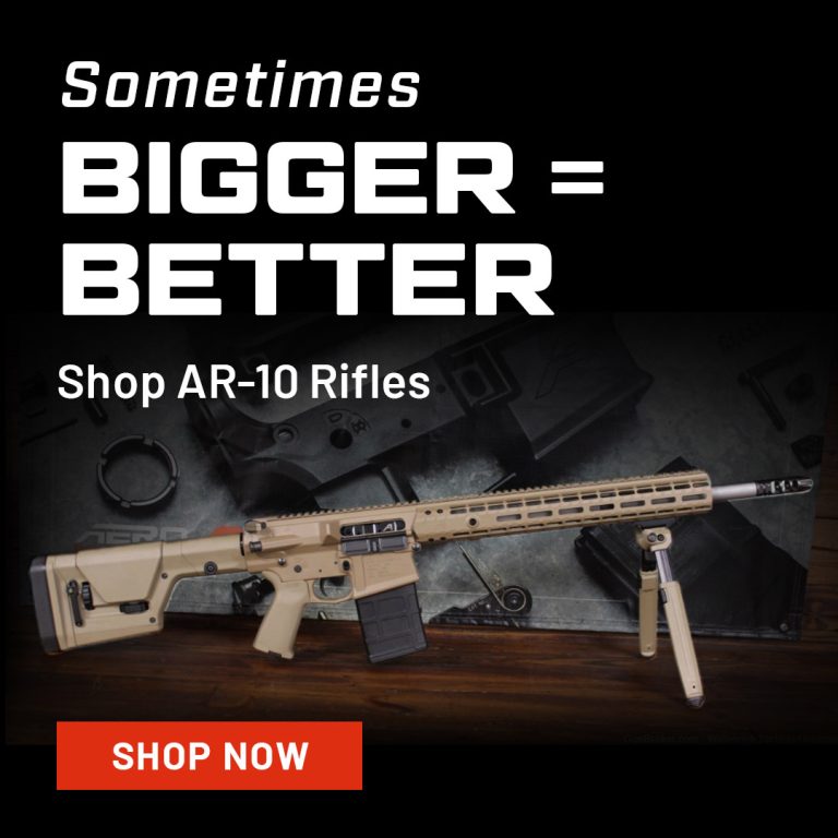 AR-10 Rifles - Shop Now