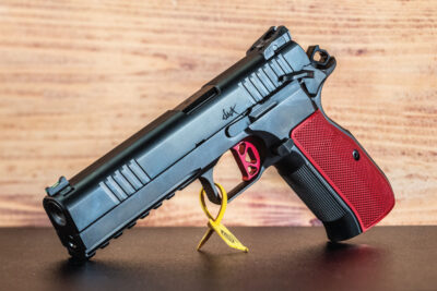 Dan Wesson DWX