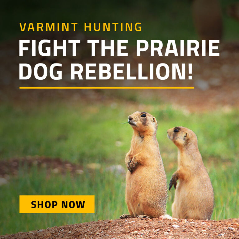 Varmint Hunting - Shop Now