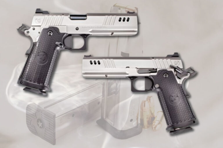 Nighthawk Customs BDS9 Pistol - GunBroker.com