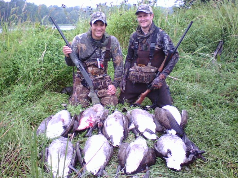 early goose, waterfowl, hunting