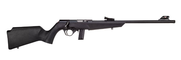 Rossi RB22 Compact Rimfire Rifle - GunBroker.com