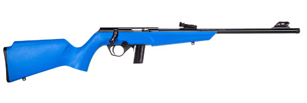 Rossi RB22 Compact Blue Rimfire Rifle - GunBroker.com