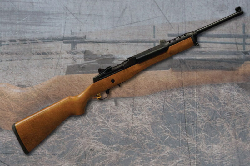 Ruger Mini 14 - GunBroker.com