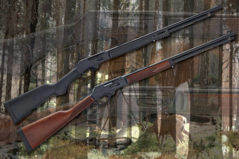 Specs and Features of Henry 360 Buckhammer Rifle Video - GunBroker.com