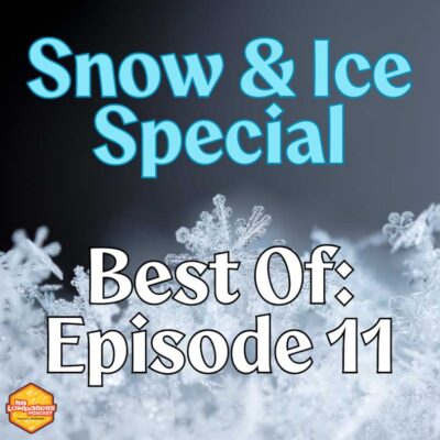 11: Best Of No Lowballers: How to Find Real Deals on GunBroker Without Being a Lowballer