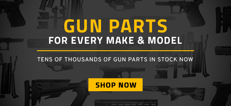 Shop Gun Parts