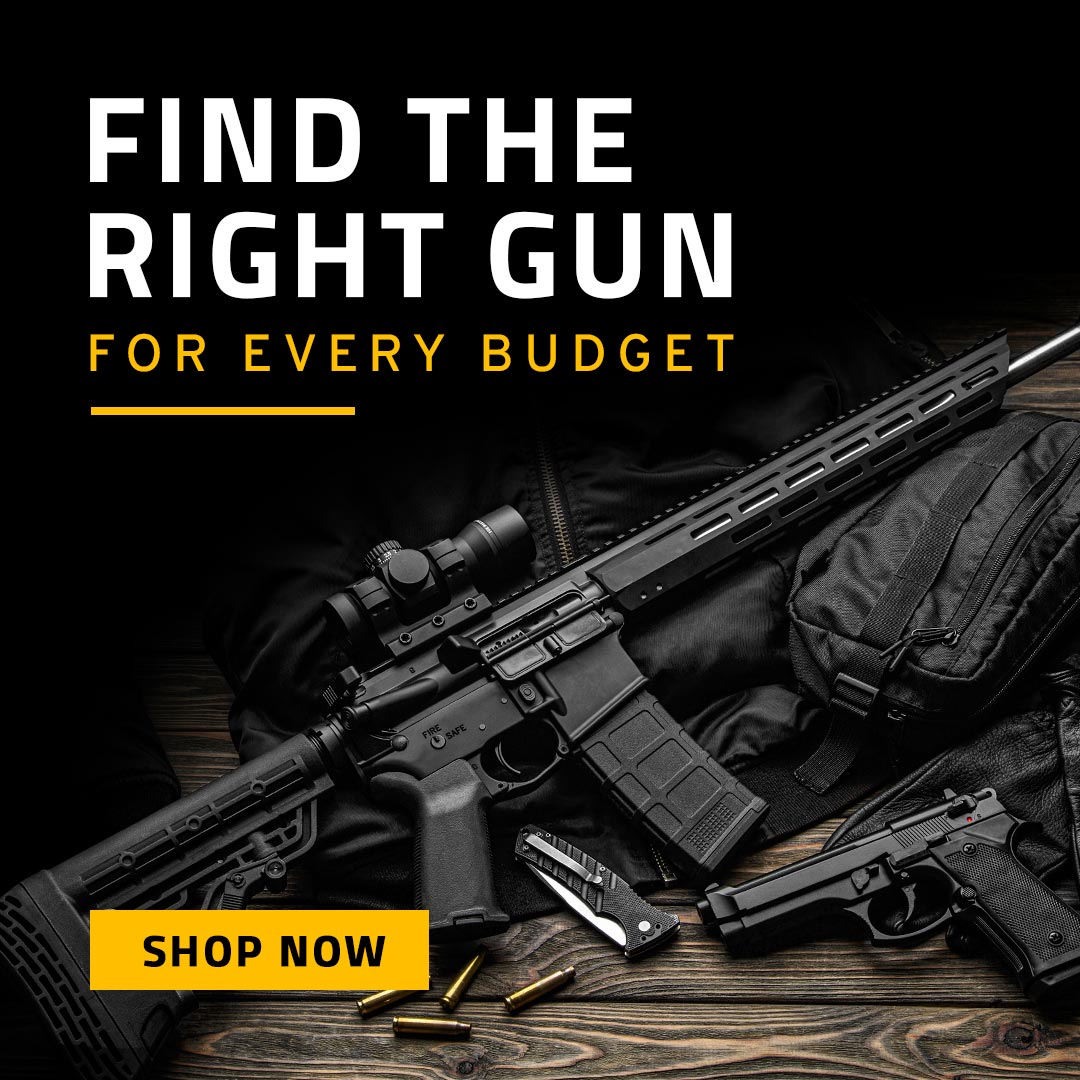 Guns for Every Budget Gun Prices by Range GunBroker