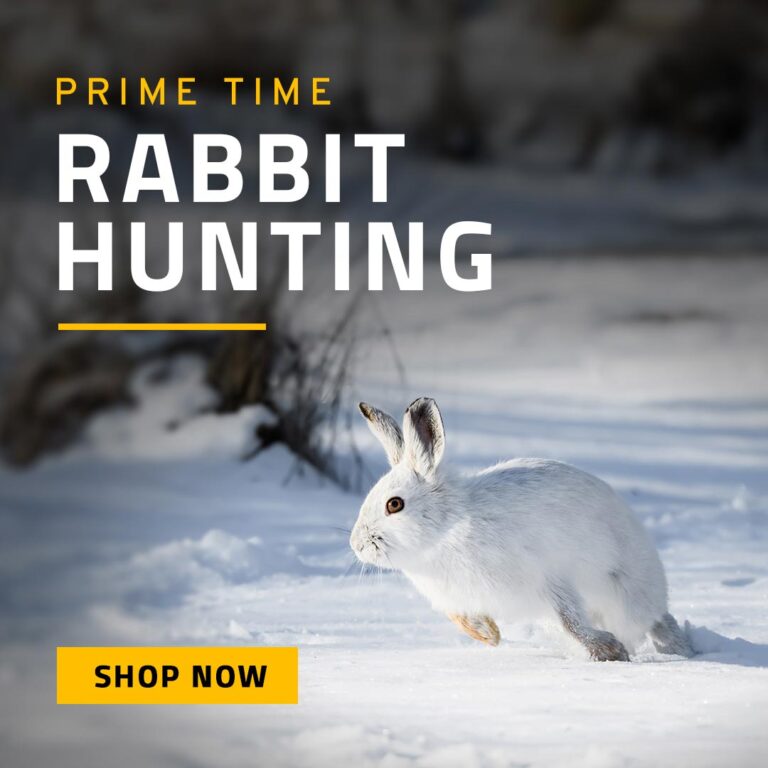 Rabbit Hunting - Shop Now
