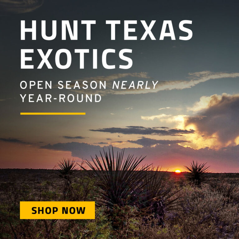 Hunt Texas Exotics - Shop Now