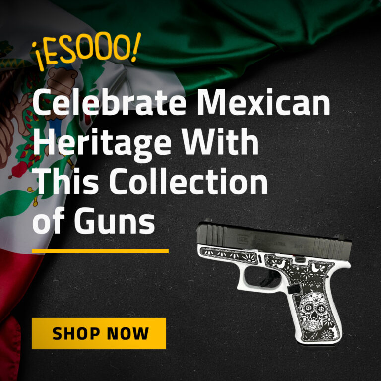 Shop Mexican Heritage Guns