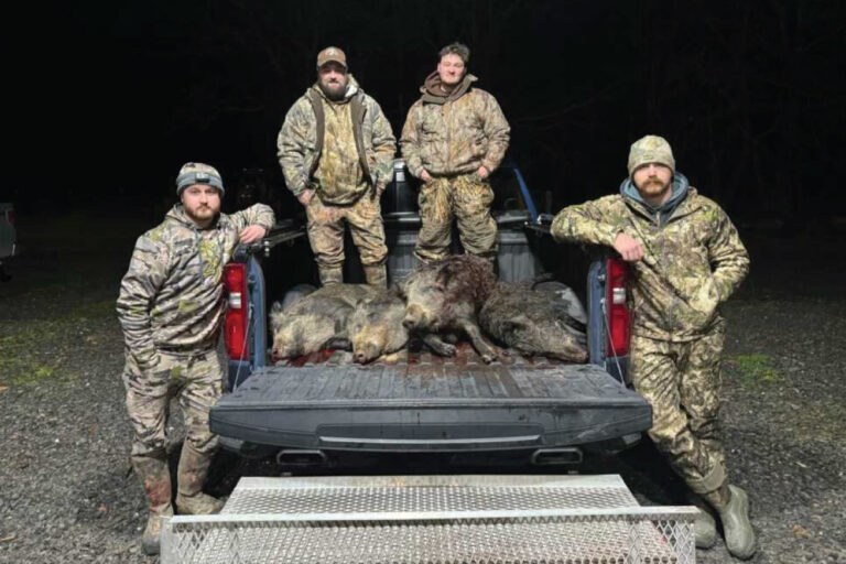 Hog Hunting with Danny Moreland
