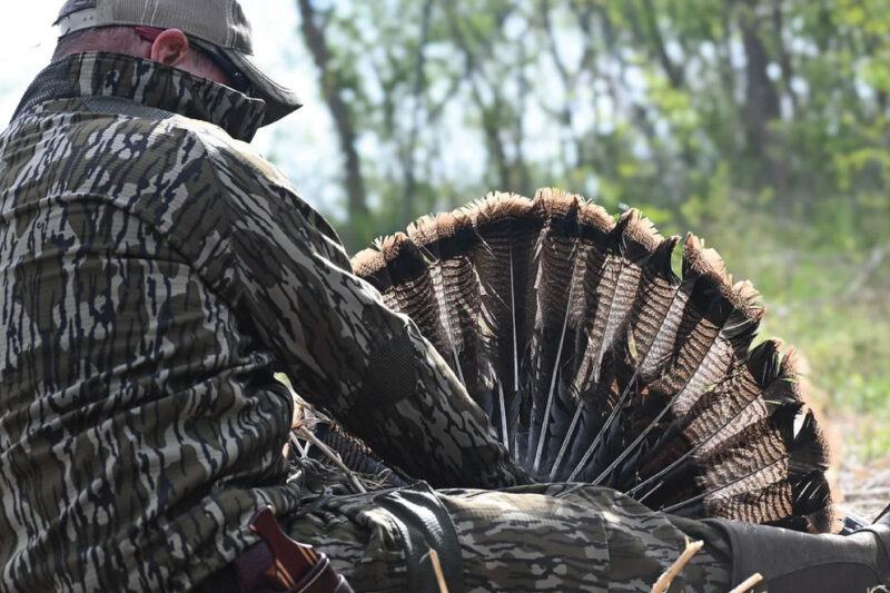 Missouri’s Best Turkey Hunts: Kinser Madison’s Guide to Bagging Big Gobblers
