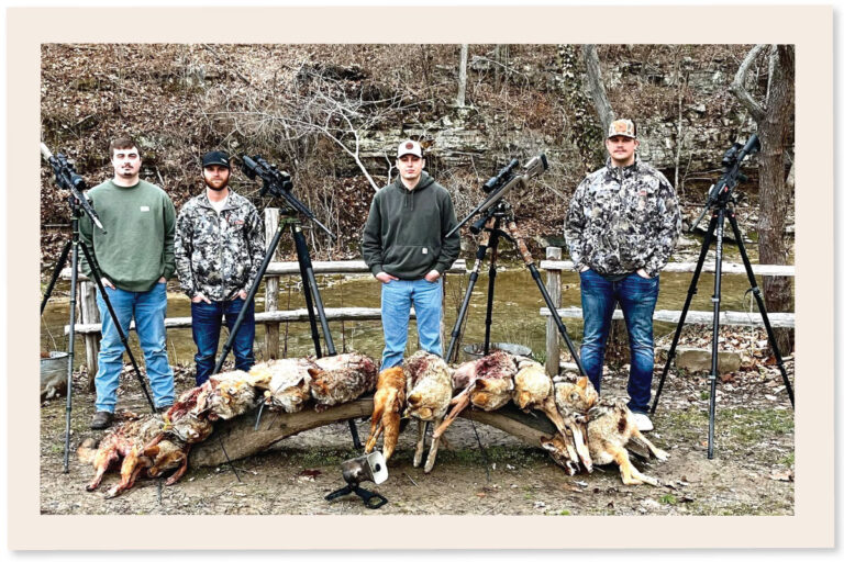 What Upgrading My Coyote Hunting Kit Taught Me About Gear That Works