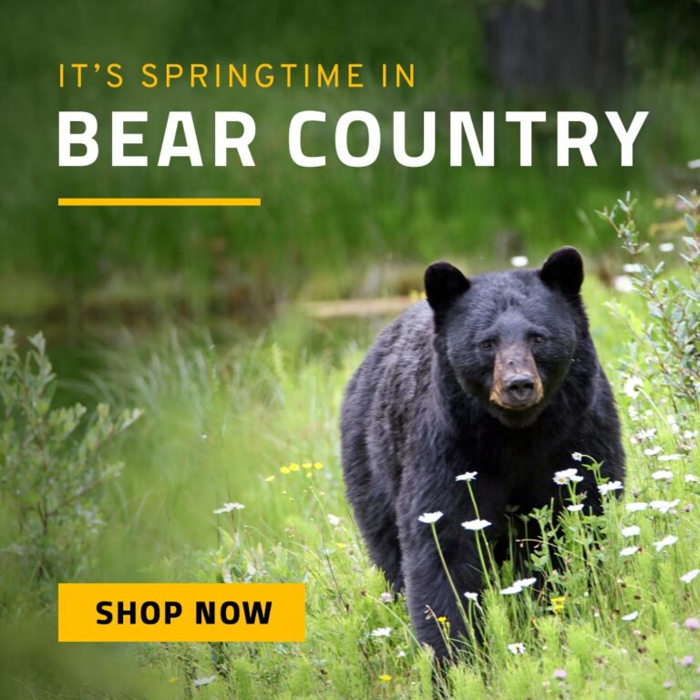 Shop Bear Hunting Guns & Protection​