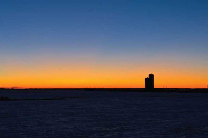 Legendary Kansas Bird Camp: Wild Hunts, Loyal Dogs, and Prairie Sunsets