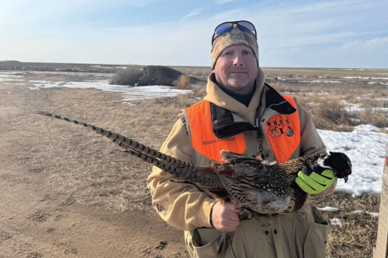 Stuart Young of Last Chance Wings & Labs (LCWL)