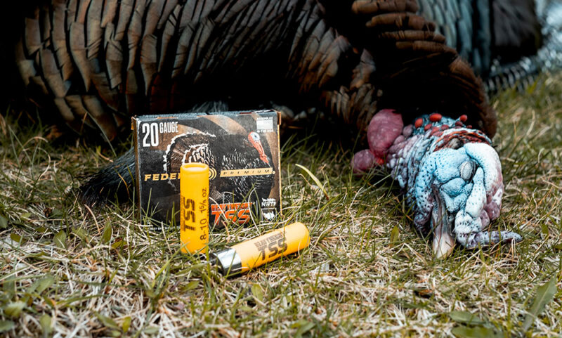 Federal Turkey Loads