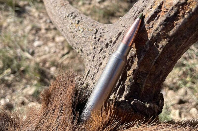 Remington 7mm Backcountry