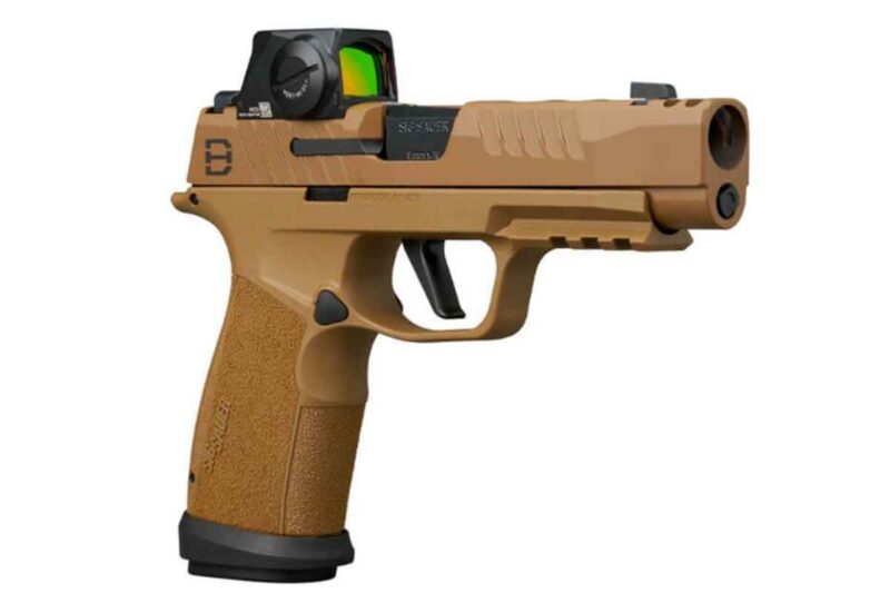 SIG SAUER P365-XF DH3 Overview