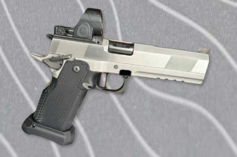 Hayes Custom Guns Cobra Series 9mm w/ Trijicon SRO